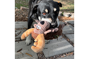 Honden - KONG Dog Toy Sherps Floofs Moose 25cm - 341018