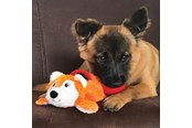 Honden - KONG Dog Toy Cozie Pocketz Beaver Medium 33cm - 341128