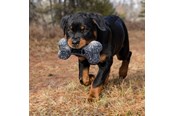 Honden - KONG Dog Toy Maxx Bone Small/Medium 28cm - 341189
