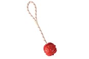 Honden - Trixie Ball on Rope ø 4.5/35 cm assorted colours - TX33481