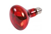 Heating/Light - Trixie Infrared Heat Spot Lamp 100W R80 E27 - TX76097
