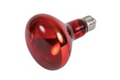 Heating/Light - Trixie Infrared Heat Spot Lamp 150W R95 E27 - TX76098