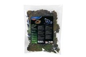 Knaagdieren - Trixie Terrarium moss 200g - TX76155