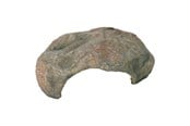 Habitat décor - Trixie Reptile Cave 30×25×10 cm - TX76192