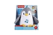 Speelgoed voor baby's - Fisher Price Flap & Wobble Penguin - HNC10