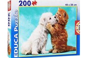 Puzzels - Educa 300 It's A Class Photo - 80-15908