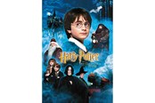 Puzzels - Thumbs Up! Harry Potter - Puzzle 50 pieces - Harry Potter and the Philosopher's Stone - 8435450232411