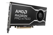Grafische kaarten - AMD Radeon Pro W7500 - 8GB GDDR6 RAM - Grafische kaarten - 100-300000078