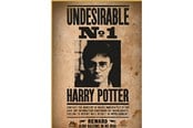 Puzzels - Thumbs Up! Harry Potter "Wanted No. 1" Puzzle - 8435450255397