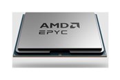 CPU - AMD EPYC 8124P / 2.45 GHz processor - OEM CPU - 16 kernen - 2.45 GHz - AMD SP6 - OEM/tray (zonder koeler) - 100-000001135