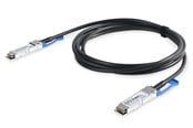 Netwerk - kabel - DIGITUS 100G QSFP28 Direct Attach Cable - 1m - Zwart - 1m - DN-81601
