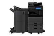 Inkt, toner en verbruiksartikelen - Toshiba T-3008E - black - original - toner cartridge - totot30080