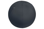 Ergonomie - Leitz Ergo Actieve Zitbal, anti-rol design, 65cm Donkergrijs - 65420089