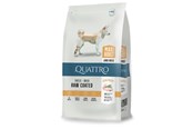 Honden - Quattro Maxi Adult with Poultry 12kg - 13051