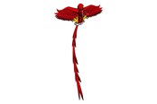 Buiten spelen - Kites Ready 2 Fly - Pop-up 3D Kite Eagle - EF3DEAGLE