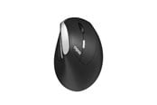 Muis - RAPOO EV250 - Ergonomische muis - Optical / gyroscopic - 6 knoppen - Zwart - 13531