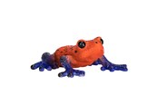 Speelgoed - Mojo Wildlife Poison Dart Tree Frog - 381016