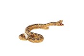 Speelgoed - Mojo Wildlife Rattlesnake - 387268