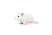 Speelgoed - Mojo Farmland Mouse - 387235 - 387235