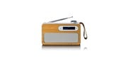 DAB & Wekkerradio - Lenco PDR-040EF - Portable DAB+ radio with Bluetooth® - Bamboo - DAB+/FM - Stereo - Silver - PDR-040EF