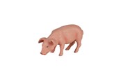 Speelgoed - Mojo Farmland Eating Piglet - 387056