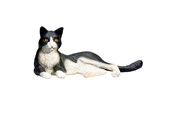 Speelgoed - Mojo Farmland Lying Cat Black/White - 387367