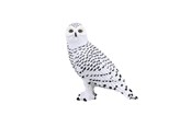 Speelgoed - Mojo Wildlife Snowy Owl - 387201