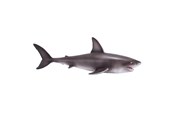 Speelgoed - Mojo Sealife Great White Shark - 381012