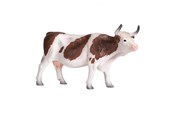 Speelgoed - Mojo Farmland Simmental Cow - 387220 - 387220