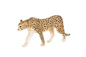 Speelgoed - Mojo Wildlife Cheetah Male - 387197 - 387197
