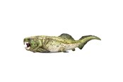 Speelgoed - Mojo Prehistory Dunkleosteus - 387374