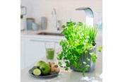 Keuken accessoires - Tregren T3 GREY home garden - T3 GREY