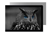 Scherm - Natec OWL display privacy filter - 27" - NFP-2118