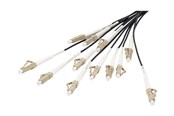 Netwerk - kabel - DIGITUS breakout cable - 30 m - black - Zwart - 30m - DK-2433CU050BK-BBB