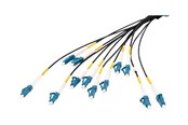 Netwerk - kabel - DIGITUS breakout cable - 100 m - black - Zwart - 100m - DK-2A33CU100BK-BBB