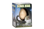 Kleine cadeautjes voor kinderen - Funtoy Growth egg - Dino - 24287