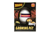 Kleine cadeautjes voor kinderen - LG-Imports Dinosaur growth egg - 9255