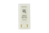 Gezichtsverzorging - Beauty of Joseon - Matte Sun Stick Mugwort + Camelia SPF 50+ PA++++ - 8809864766884