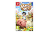 Games - Everdream Valley - Nintendo Switch - Adventure - 5056635607539