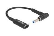 Voedingskabel (intern) - DeLOCK - power adapter - USB-C female to DC jack (HP) male - 15 cm - 60031