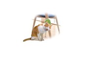 Katten - AFP All For Paws - Groomer 2 In 1 20.3X11X2.2Cm - (781.1025) - 781.1025