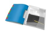 Archivering & Opslag - Esselte Vivida - classification folder - 12 parts - tabbed - white translucent - 624030