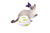 Katten - AFP All For Paws - Cat Toy Interactive Tower Of Butterfly 25X25X14Cm - (787.7560) - 787.7560