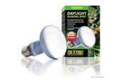 Heating/Light - EXO TERRA - Daylight Basking Spot 100W R25 E27 Green - (220.2730) - 220.2730