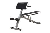 Sport & Fitness - Toorx WBX 40 Hyper Extension - WBX-40IONE SIZE