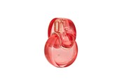 Parfum en geuren - Bvlgari Omnia Coral Edt Spray - 783320420672