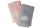 Babyspullen - Parsa Baby 2 stoffen luiers - blauw en roze - P00004960