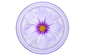 Mobiel - Overige accessoires - PopSockets PopGrip Plant Purple Cosmo - 806846