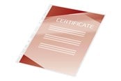 Lamineren - GBC Organise Laminating Pouch - 100-pack - glossy - 229 x 303 mm - lamination pouches - 41664E
