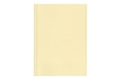 Archivering & Opslag - Esselte - file folder - for A4 - yellow (pack of 100) - 44102